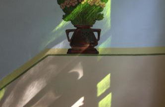 Pension Villa Fortuna - Foto 49