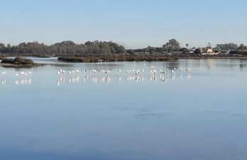 VILLA SANCTI PETRI - Foto 36