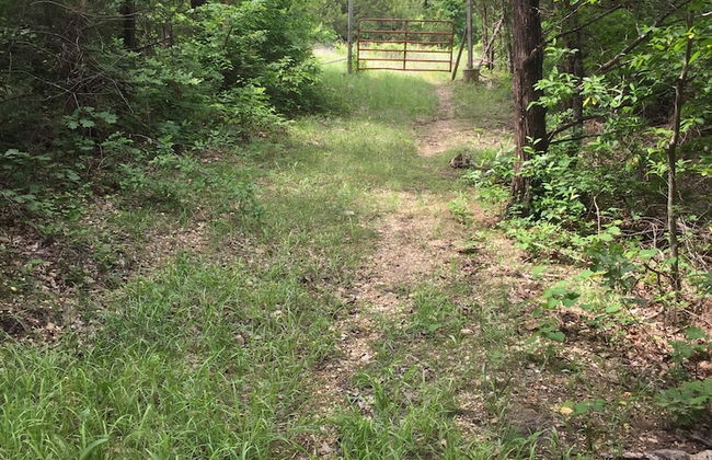 Cherokee mountain log cabin resort - Foto 75