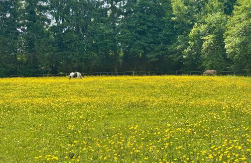 Happy Place am Waldrand - Foto 16