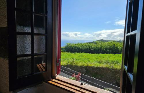 Ocean View - Nordeste - Photo 13