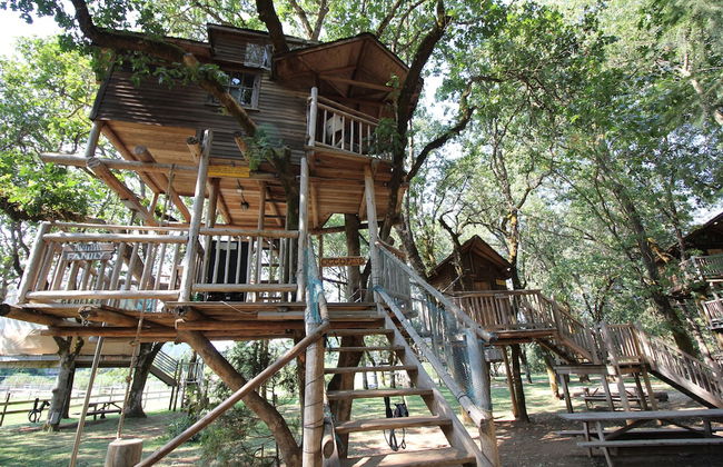 Out 'N' About Treehouse Treesort - Photo 8