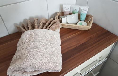 Ferienwohnung keine Monteurvermietung Nähe Heidelberg Hockenheim BDS Anlage - Foto 8