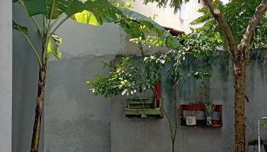 Casa de Mainha - Foto 3