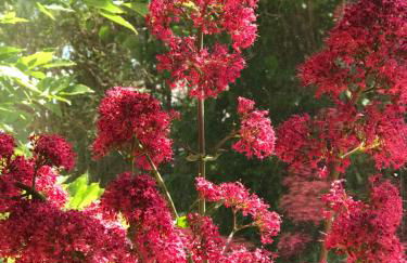 Four Seasons Cottage - in the Cotswolds - Foto 6