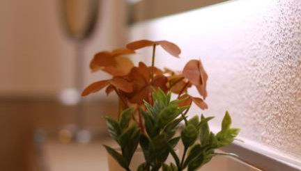 FeWo Mammut-Seepanorama - Foto 4