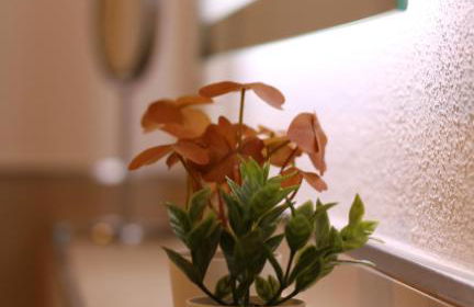 FeWo Mammut-Seepanorama - Foto 4