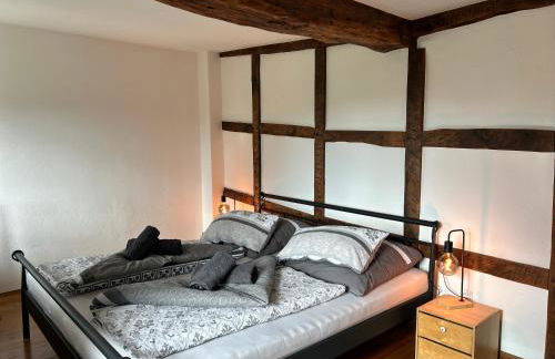 Gut Kalkhäuschen, ein Ort mit Geschichte - Foto 21