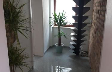 Inselblüte 2 - Photo 12