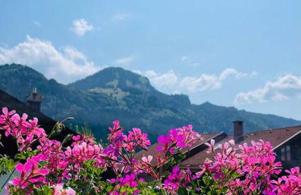 Berge, Wandern, Erholung pur! Fewo Tinka-Haus Katja - Foto 8