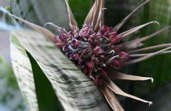 Apartment im Bellerbektal - Foto 44