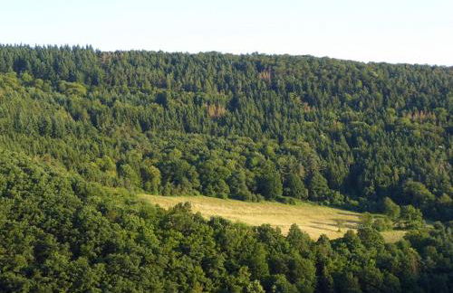 Ferienwohnung David - Foto 33