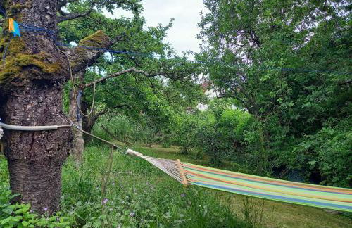 Freilandhof - Foto 27