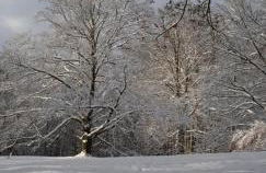 Villa Charlotte - Foto 55