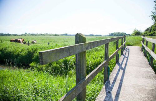 Glasauer Kutscherhaus - Foto 35