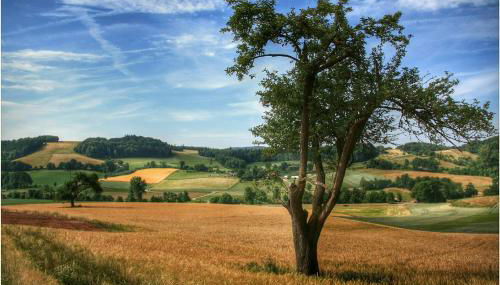 Ferienwohnung Mörlenbach - Foto 3