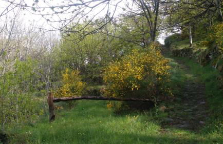 L échappée belle - Photo 30