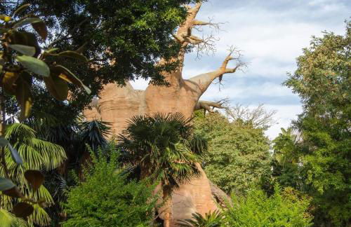 Apartamento Las Brisas - Photo 37