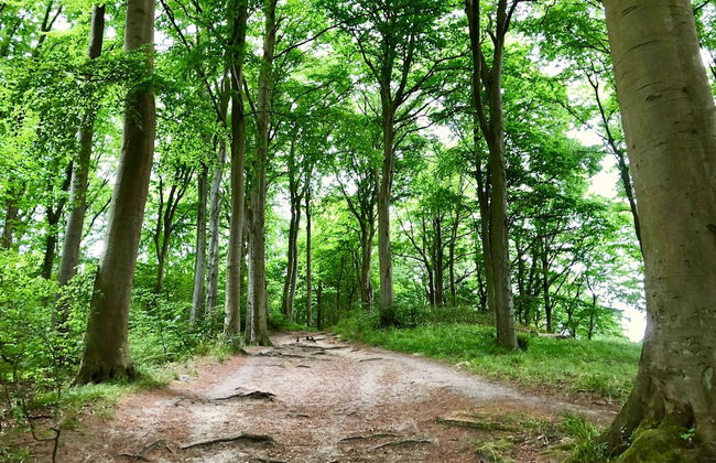 Haus Johanneshorst - Foto 31