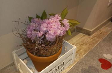 Antico Vicolo - Appartamento Rebecca - Foto 9