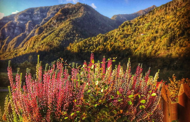Eco-Baita Natura Spensierata - Foto 37