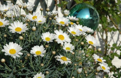 Ferienhaus Nest - Foto 36