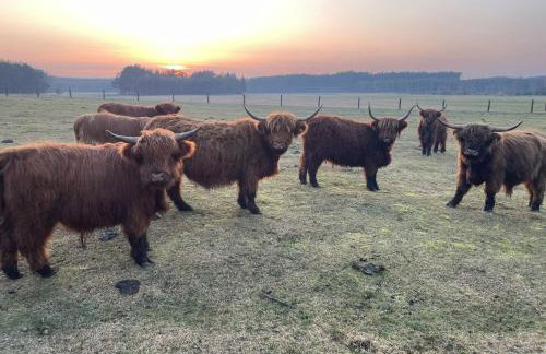 Agroturystyka "Apartament na wsi" Bory Tucholskie - Foto 19