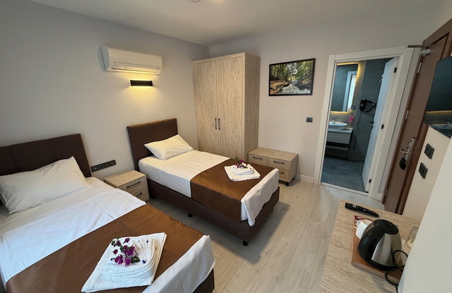 ALTINAY HOTEL - Photo 11