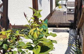 Bungalow Sixdays 3 - Photo 37