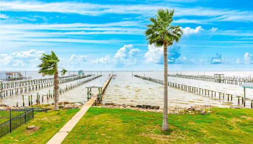 Reel Paradise - Foto 5