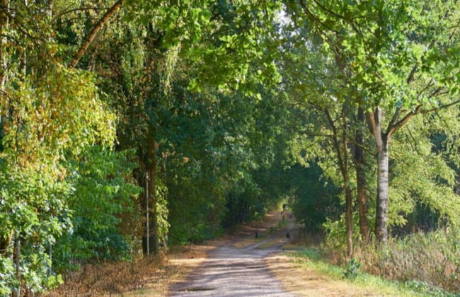 Ferienhaus Boschhuys - Foto 30