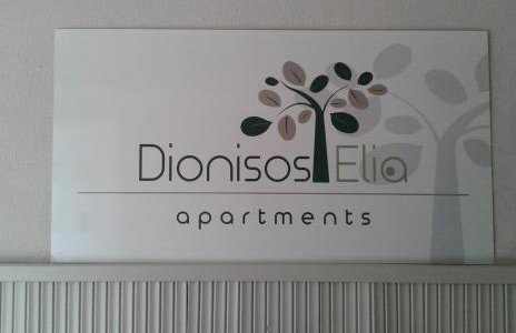 Dionisos Elia - Foto 19