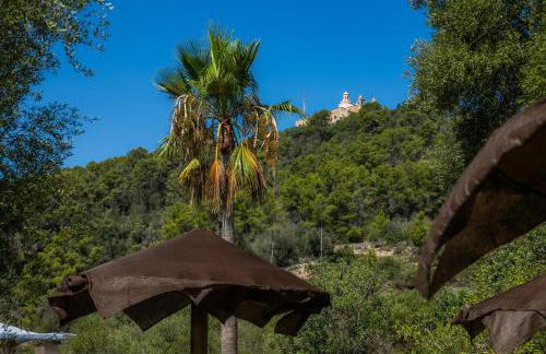 Es Colomer - Foto 25