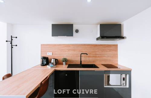 Les Lofts Stéphanois - Au cœur de Sainte-Etienne - Foto 22