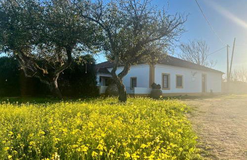 Qta Casa Seleiras - Guest House - Foto 38