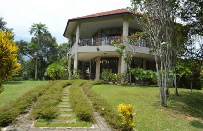 Tanah Aina Farouq - Foto 24