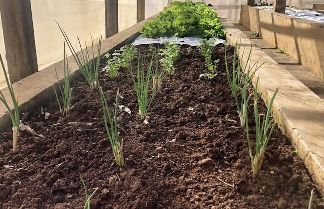 Casa de Campo Ideal para Famílias e Amigos - Photo 47