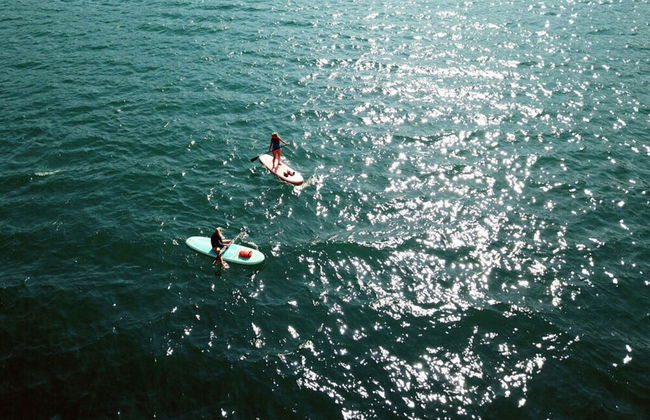 Kugelhaus Phoebe - Foto 2