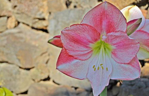 Casa Victor - Foto 8