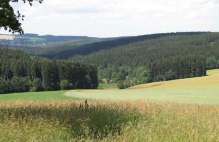 Stollenklause - Foto 33