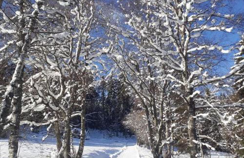 Country house on the Dachsberg - Foto 23