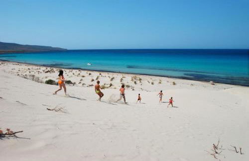 Il Fenicottero - Foto 36