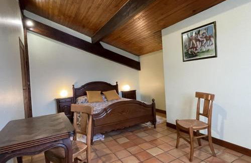 Hiriarteberria - Foto 21