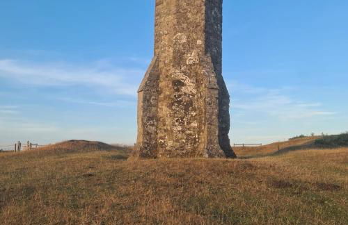 The Pepper pot - Photo 19