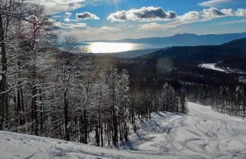 Apartman David-Dražice - Foto 19