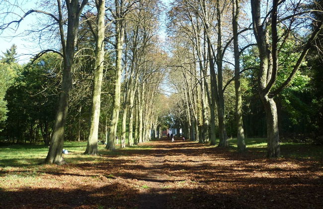 Apartment in Ennerich's Valley - Foto 28