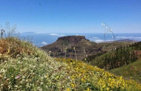 El Tangaro - Foto 38