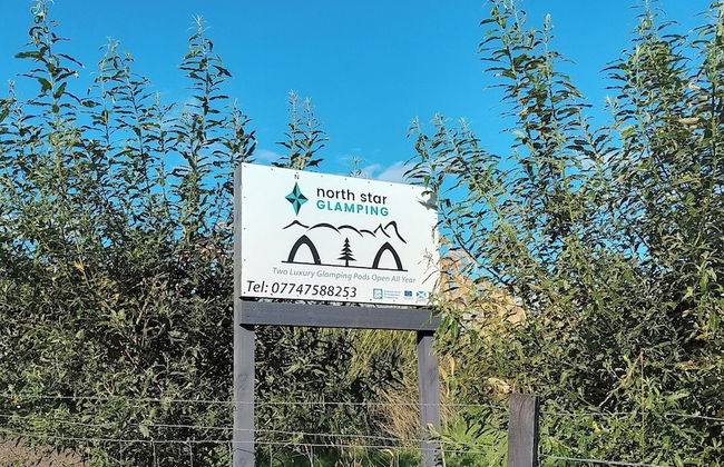 North Star Glamping - Photo 31