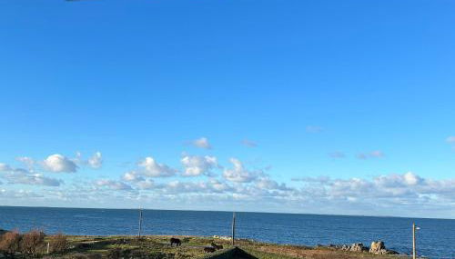 Maison d'exception face à l'océan - Foto 2