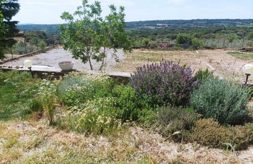 Apartamentos Rurales Rad Icarium - Photo 64